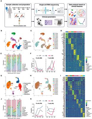 Single-cell transcriptomic atlas throughout anti-BCMA CAR-T therapy in patients with multiple myeloma